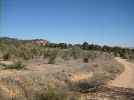 Suelo en Requena, Valencia