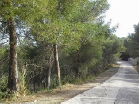 Suelo en Canyelles, Barcelona