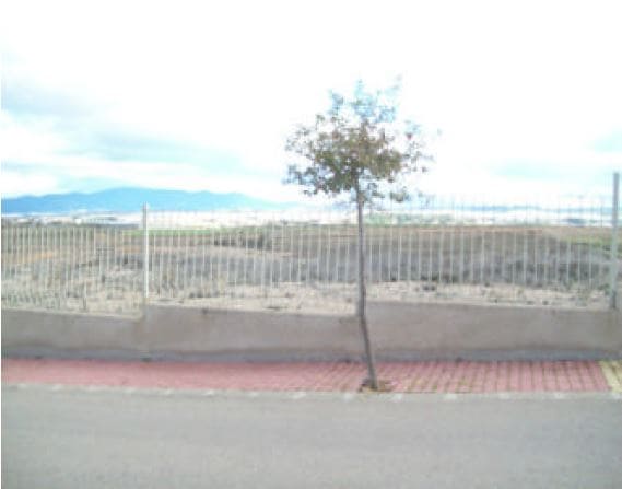 Suelo en Calatayud, Zaragoza