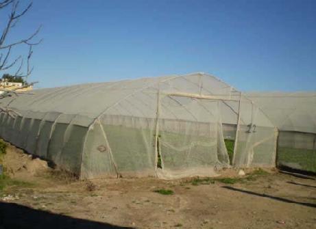 CL DE L ESGLESIA Nº SN