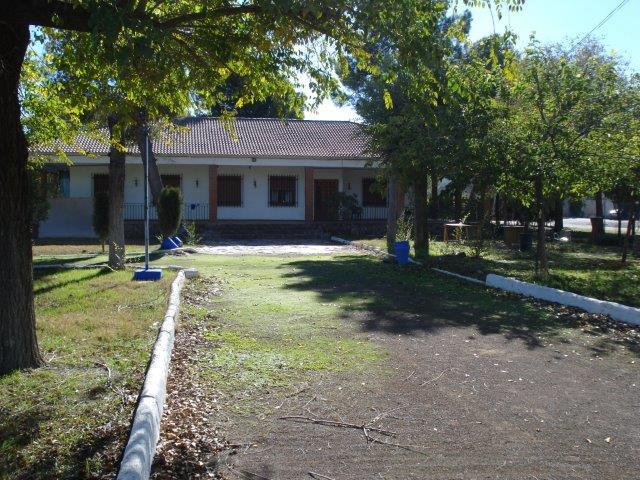 DISEMINADO