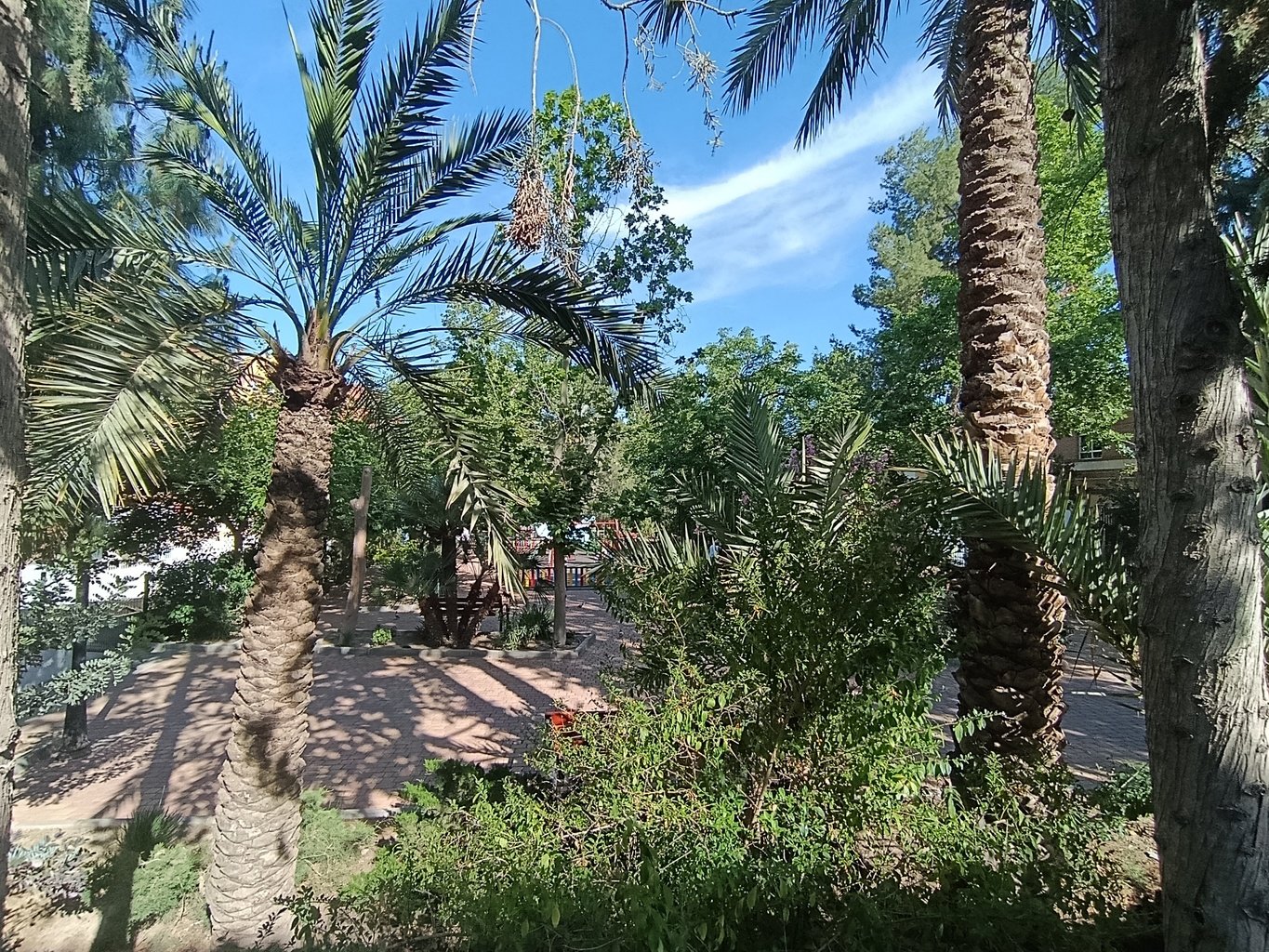 Duplex in Lorca — image 3