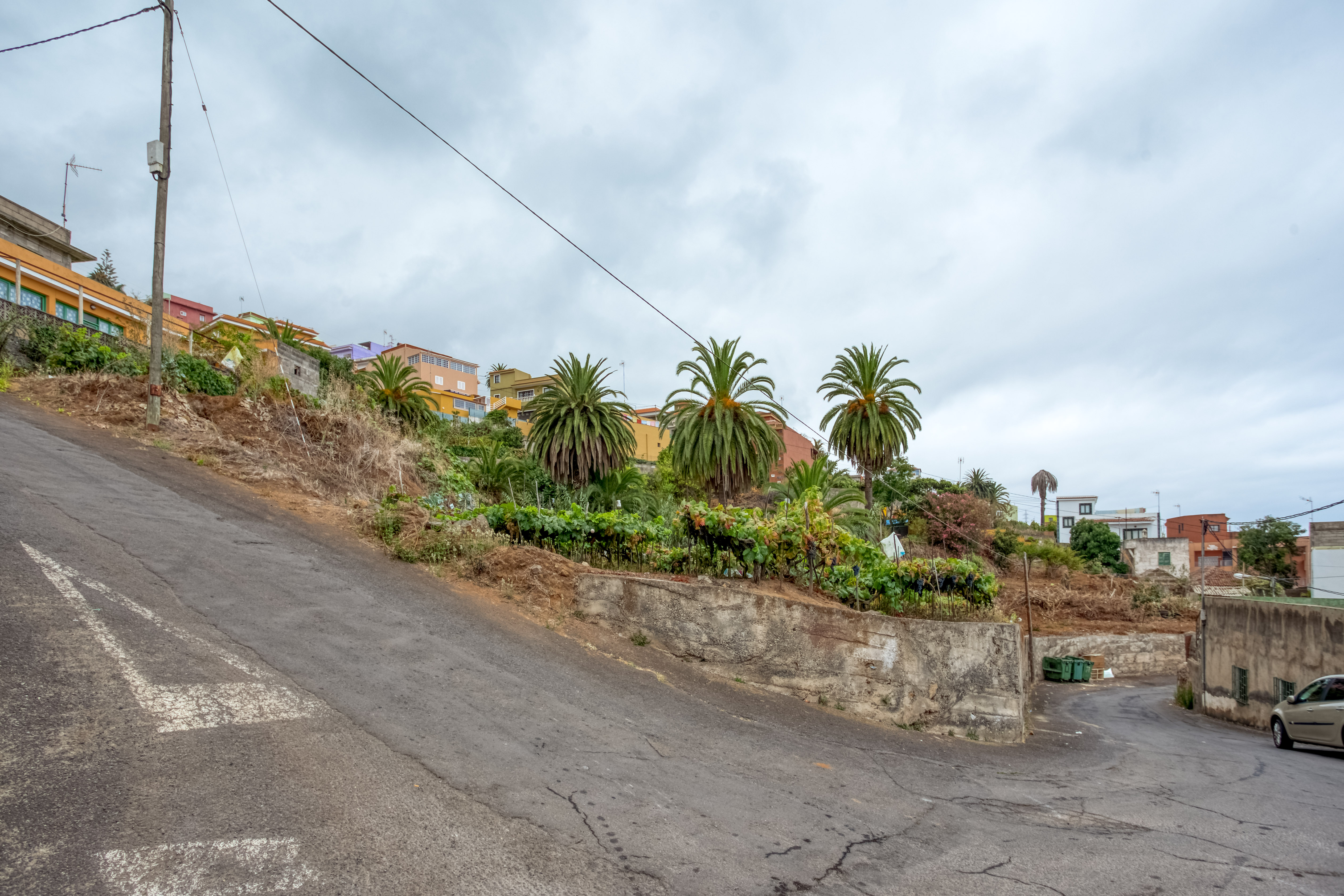 Suelo en Santa Úrsula, Santa Cruz de Tenerife