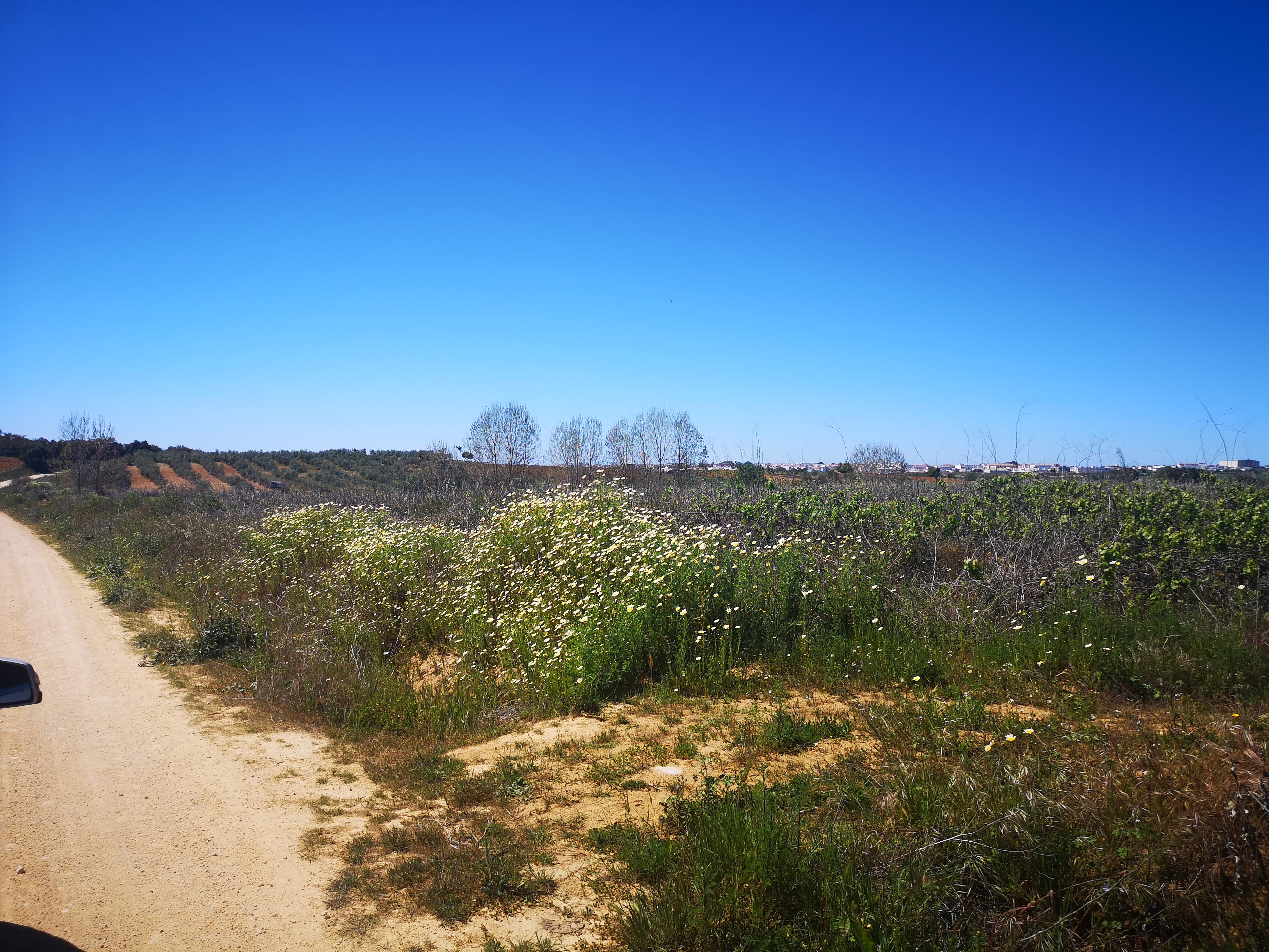Suelo en Bollullos Par del Condado, Huelva