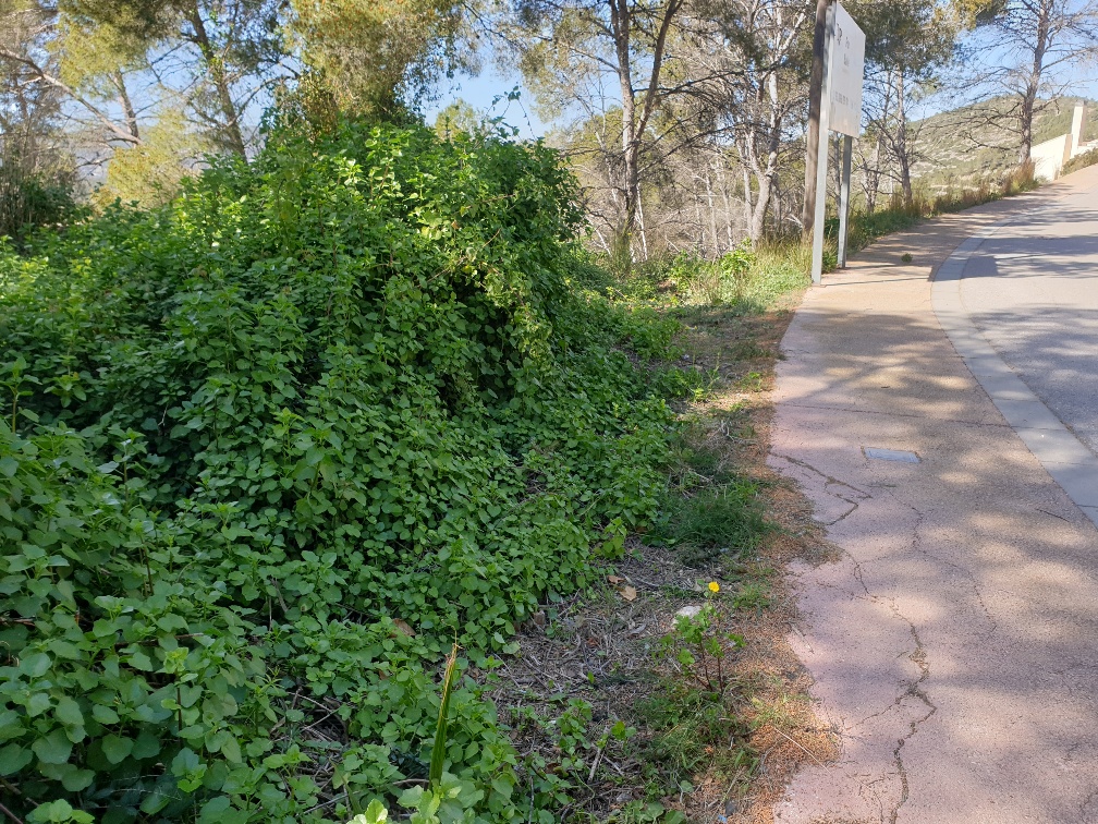 Suelo en Olivella, Barcelona