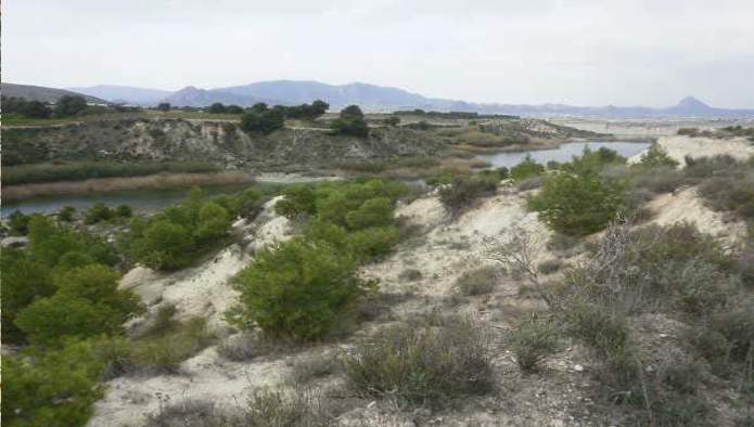 Suelo en Cieza, Murcia