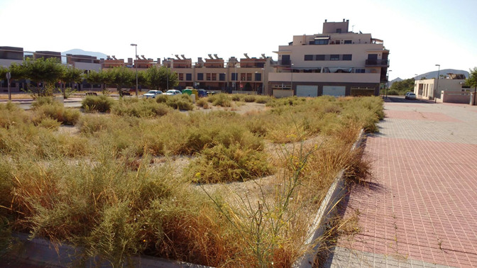 En Construccion en Monóvar/Monòver, Alicante/Alacant