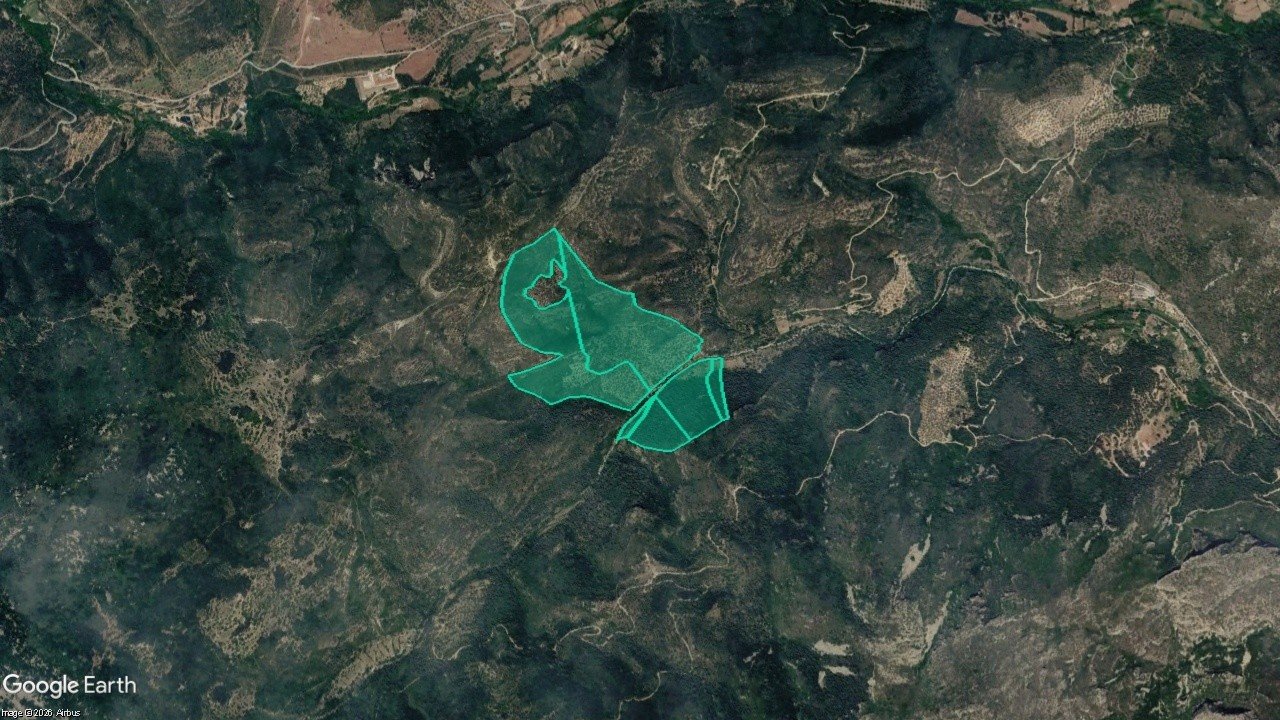 Partida Vall Cervera
