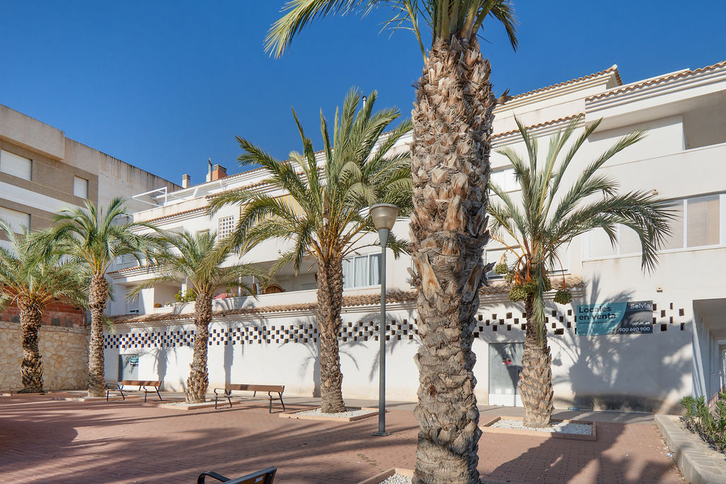 Local en Abanilla, Murcia