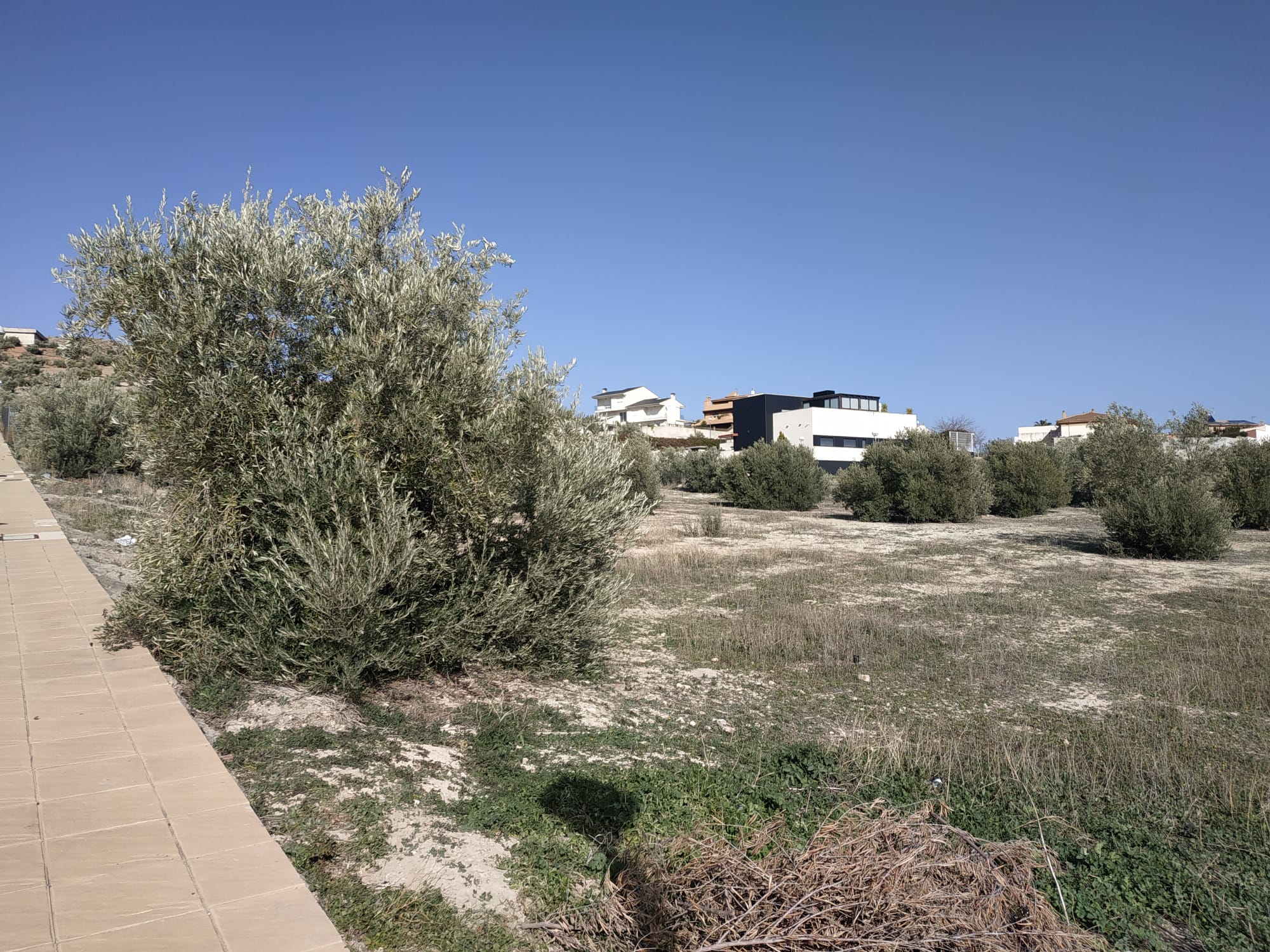 Suelo en Guardia de Jaén (La), Jaén
