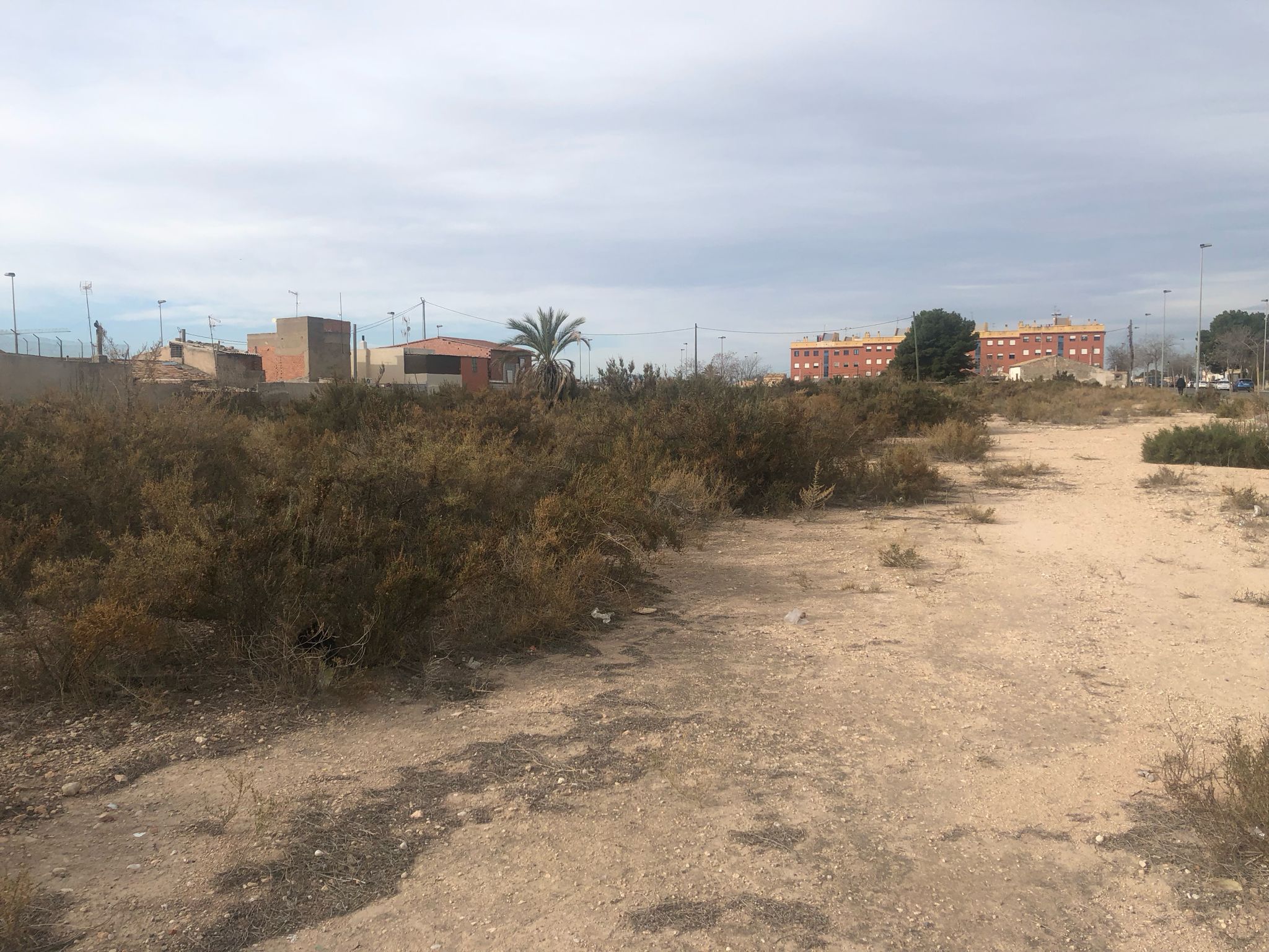 Suelo en Elche/Elx, Alicante/Alacant