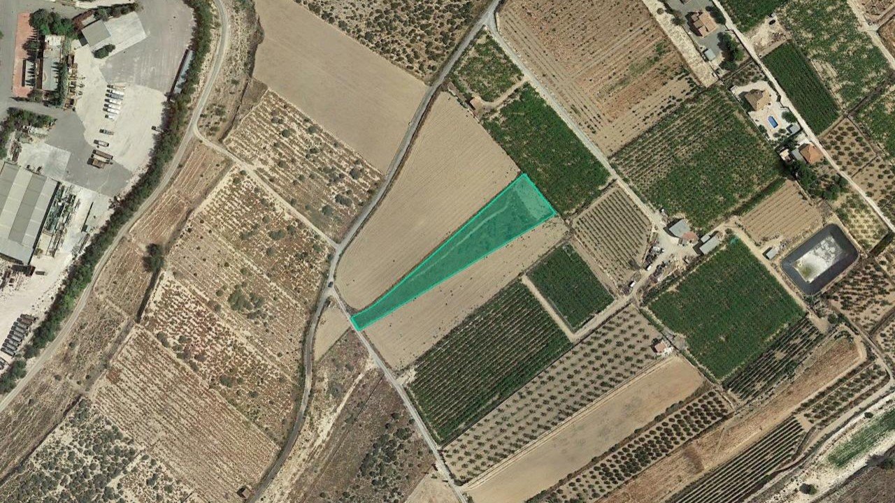 Pta del Tolomo