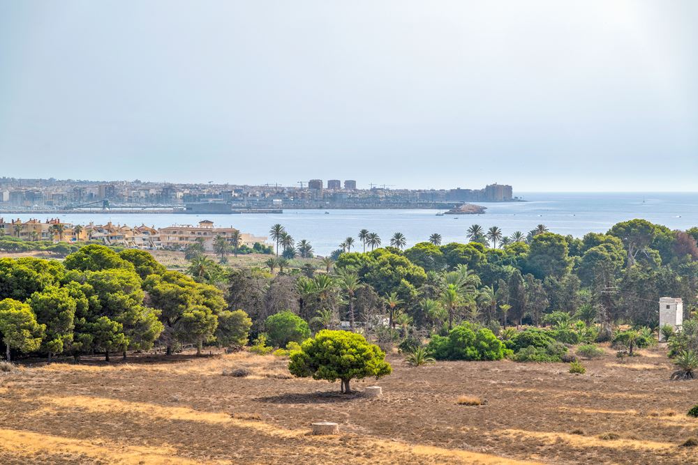 Vivienda en Torrevieja, Alicante/Alacant
