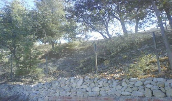 C/ Vereda Alta 