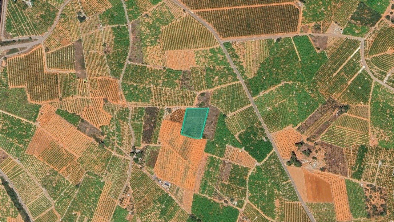 Partida Bobalar Pilares