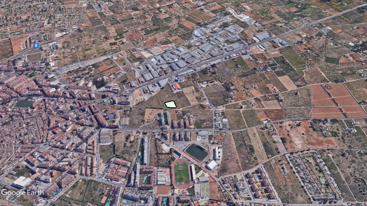 Pt Negraleta