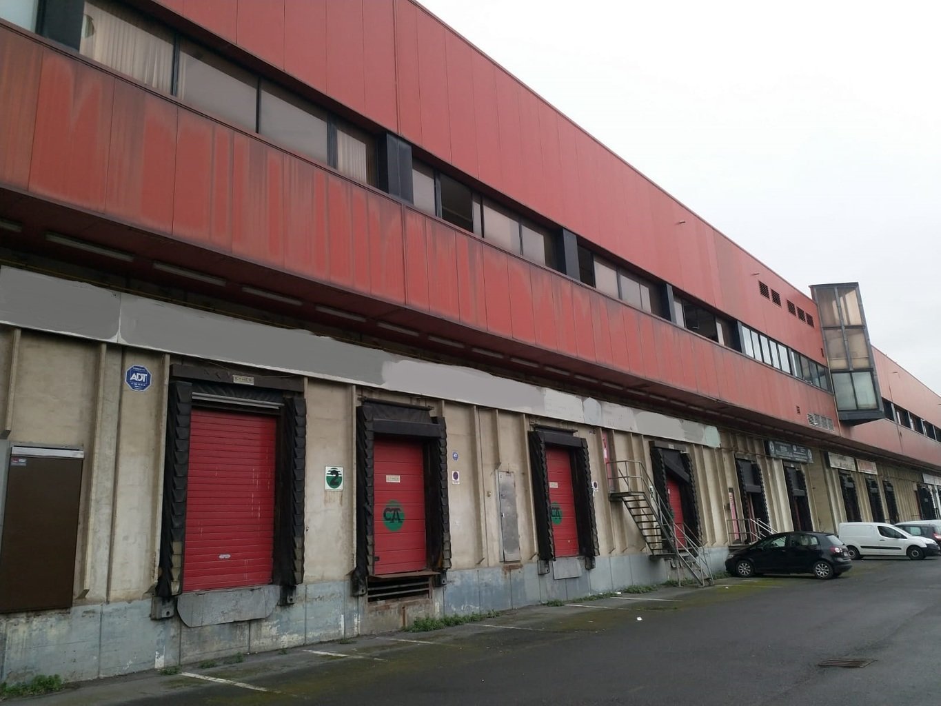 Calle Archer Marino