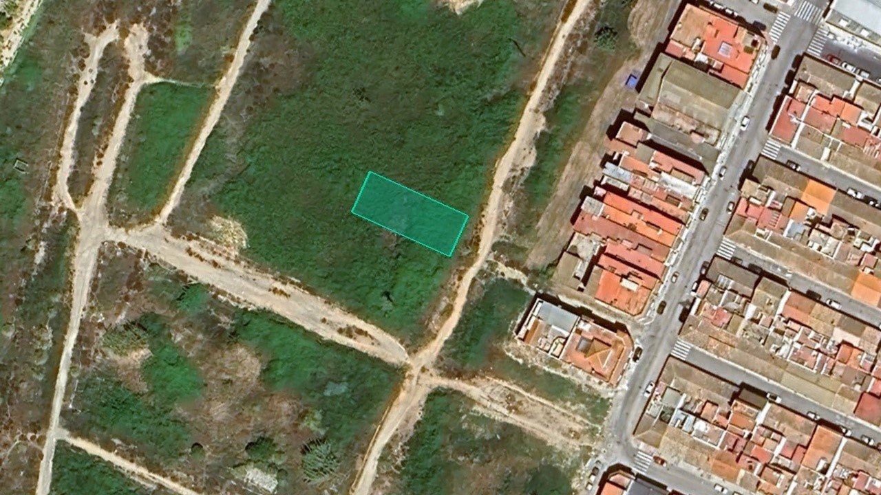 Sector C-8