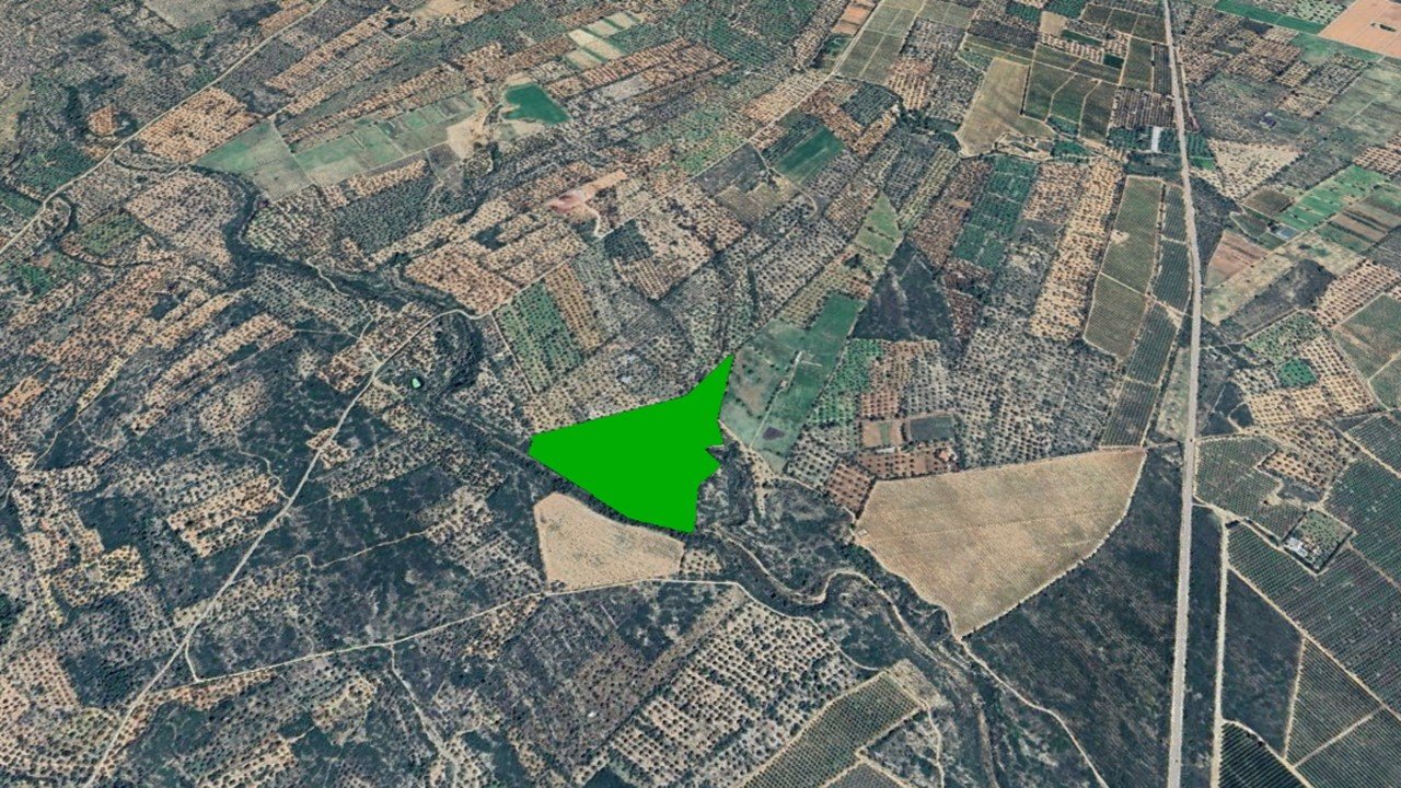 Paraje Figuereta