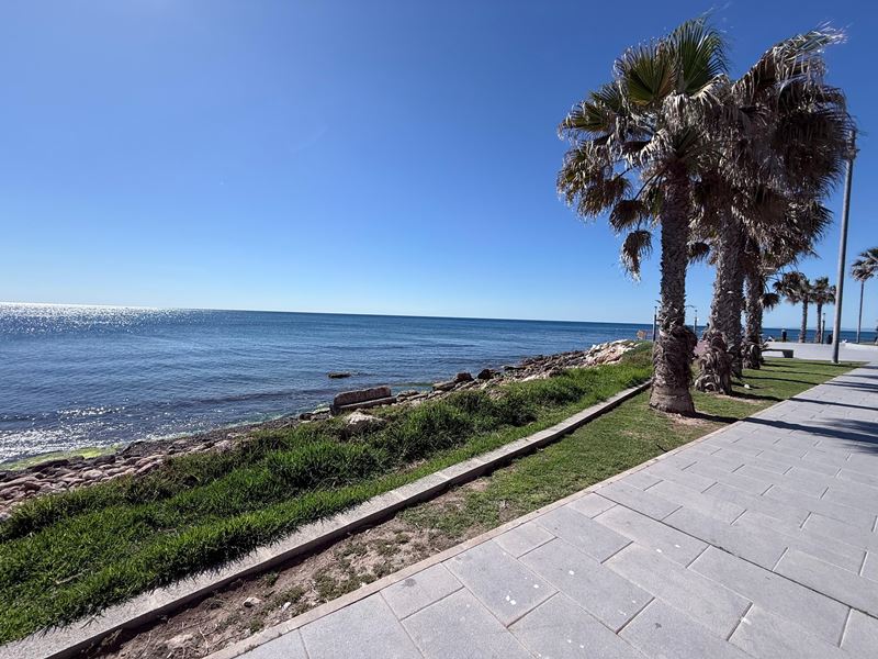 Partida La Loma
