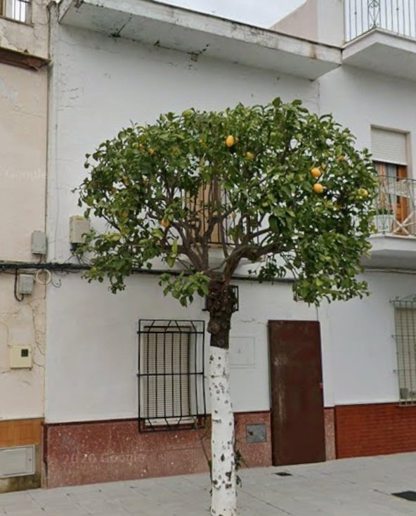 C/ Enmedio
