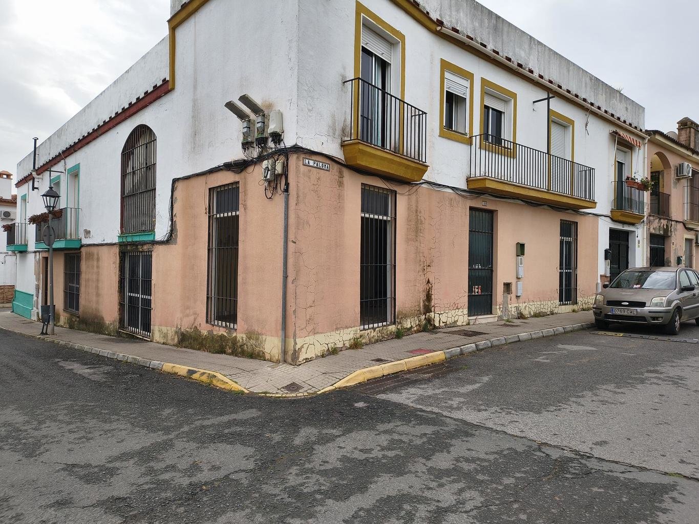 Calle Paloma