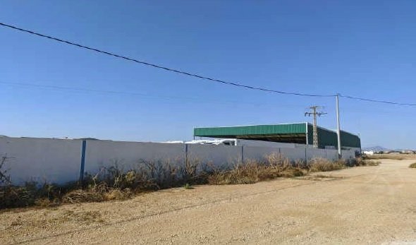 Pl 505