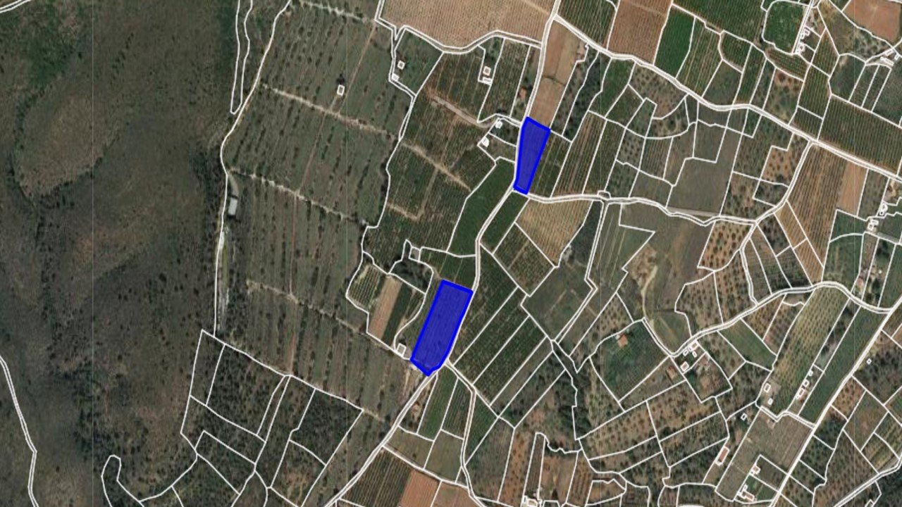 Ptda Coscojosa y Llano de Arguinas