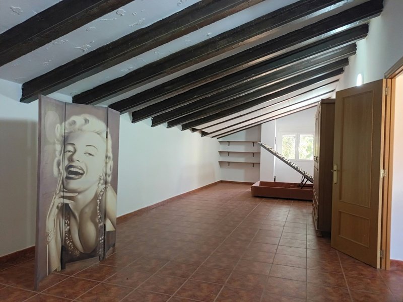 Del Campo, 16