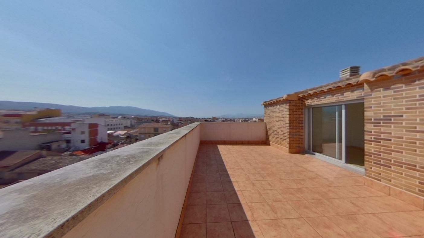 Camelias - Sangonera Verde - Murcia