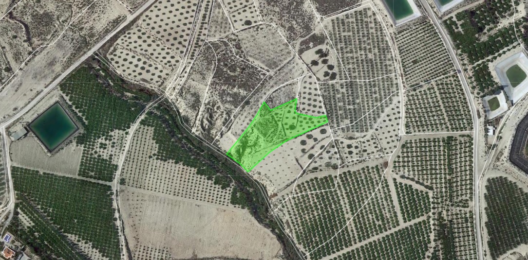 Suelo en Albudeite, Murcia