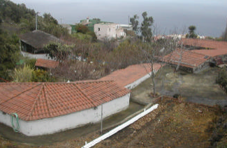 Cm del Tilo
