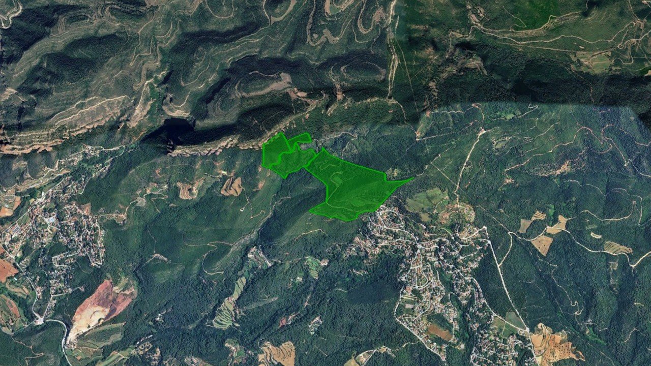 Ptda Puig Llunell Coll de Betllori Turó Roig 