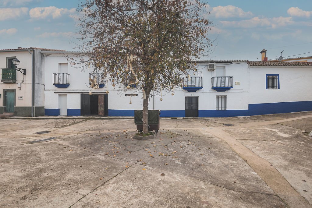 Pz Constitución 