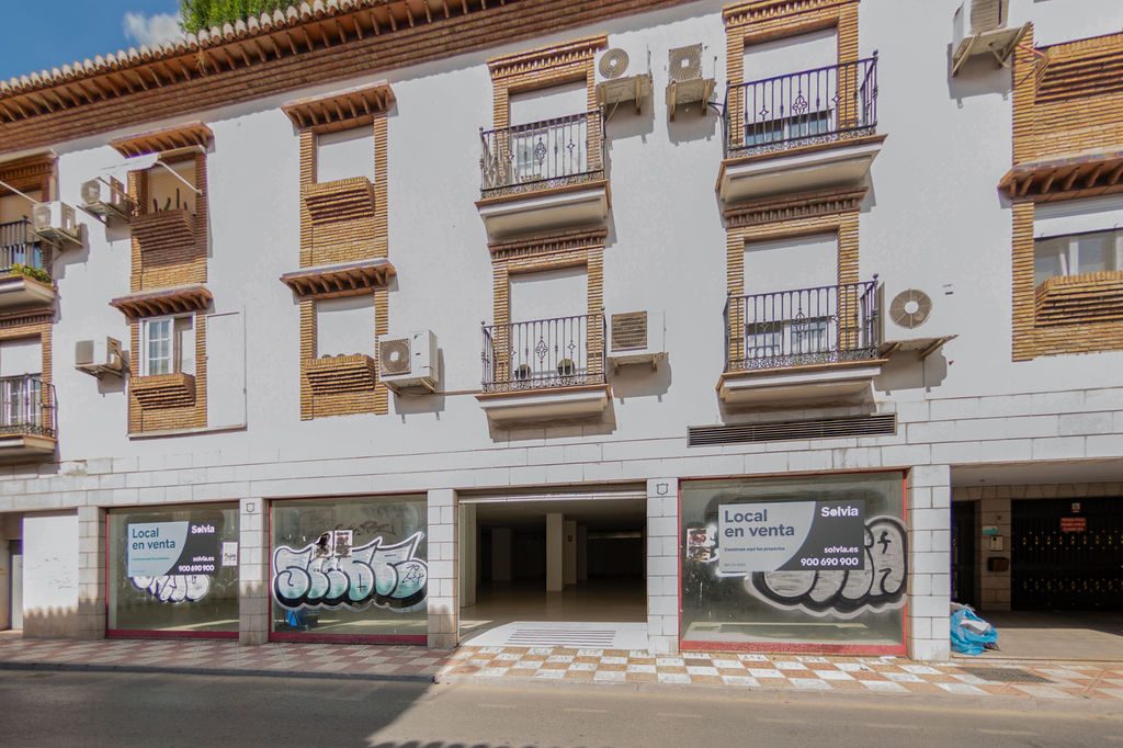 Local en Zubia (La), Granada