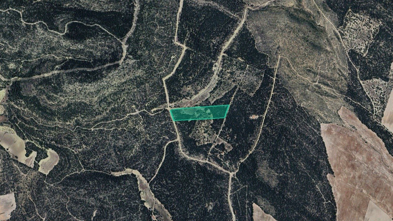 Pt Arciseco, Cañadas del Arciseco y Casas del Carrasco