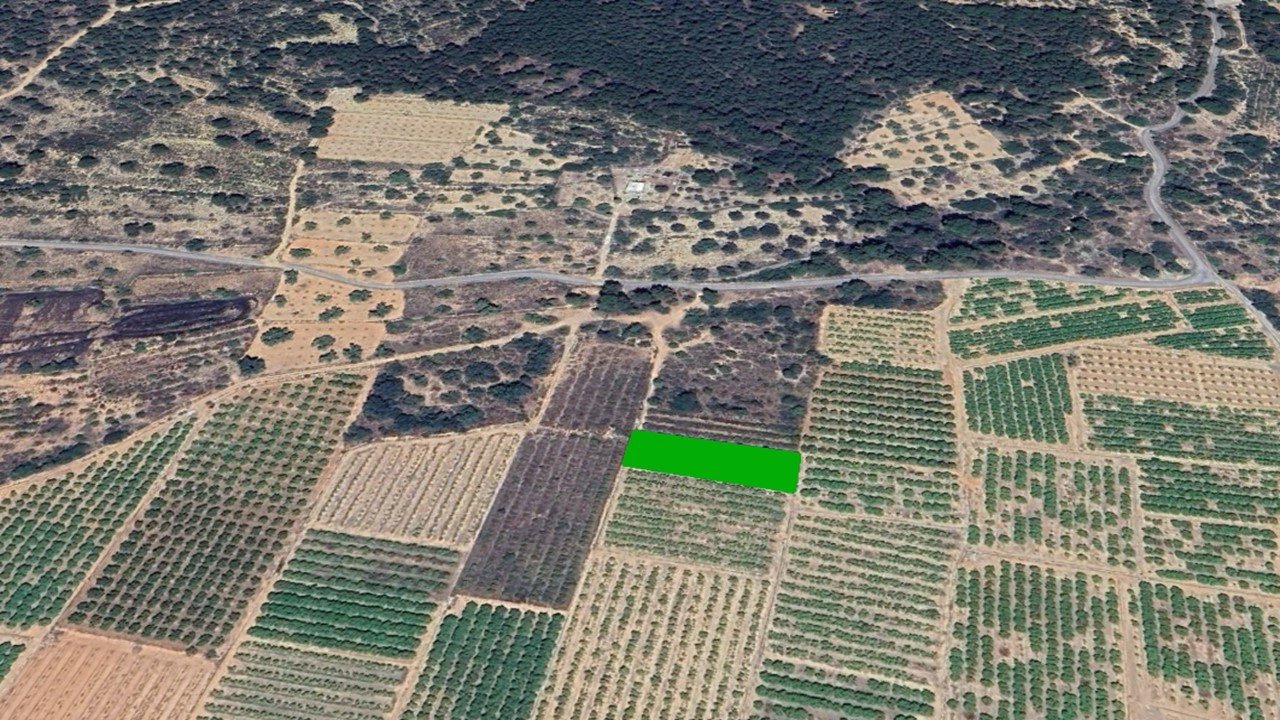 Pt Casalet, Pol 7 