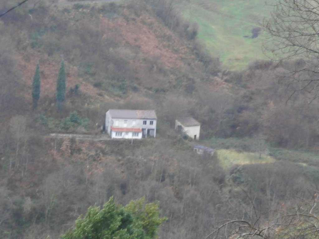C/Gavilancera