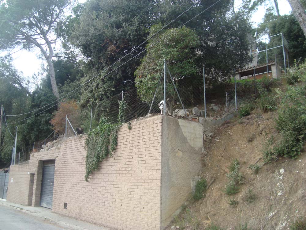 C/ Cova del Drac 