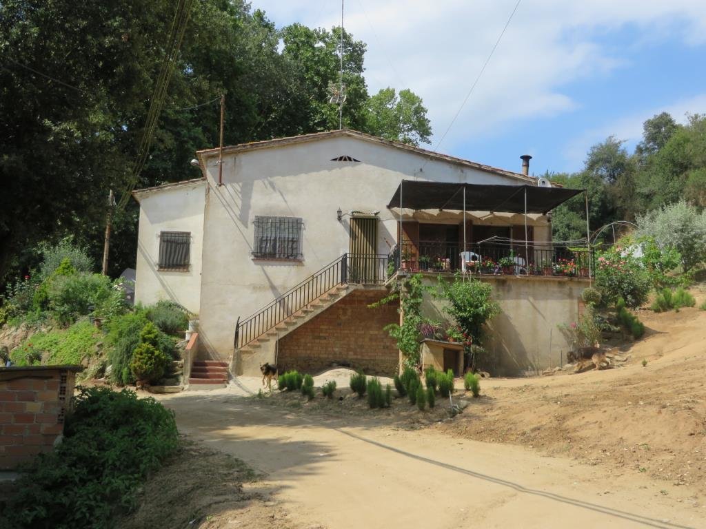C/ Paraje Sot de la Sala s/n