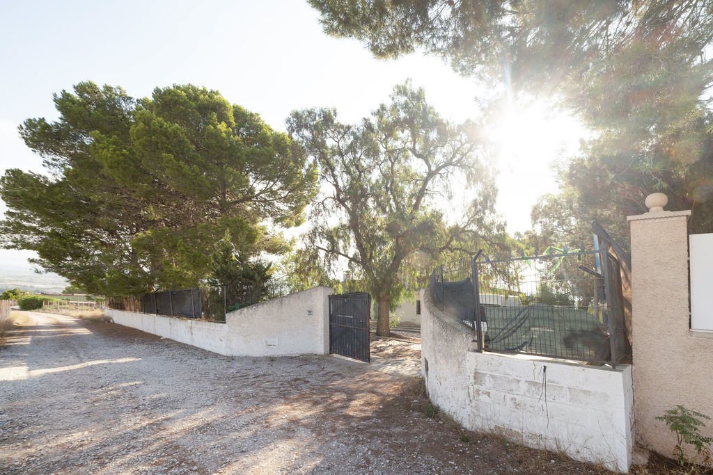 Partida cuesta La Bodega