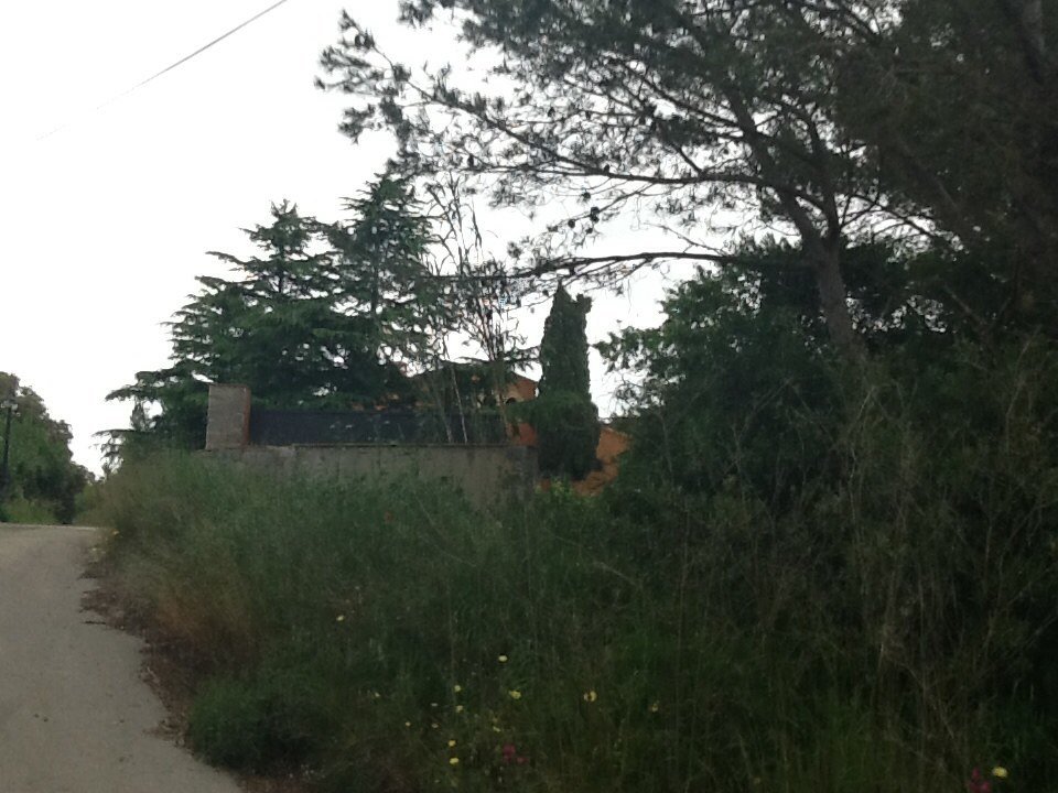 Camino Mas Rostei