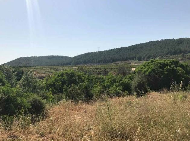 C/ Partida del Llano