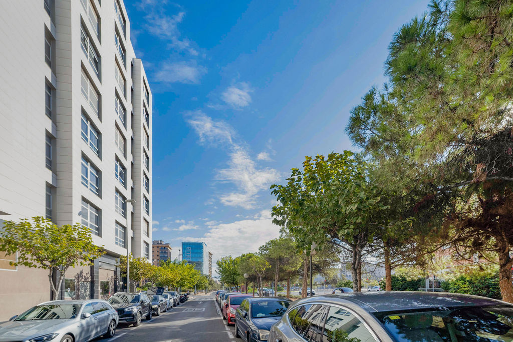 Vivienda en Alicante/Alacant, Alicante/Alacant