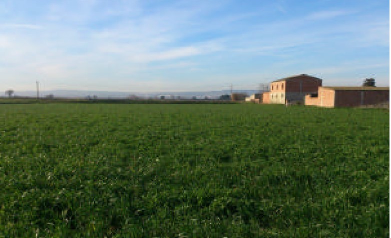 Suelo en Zaragoza, Zaragoza