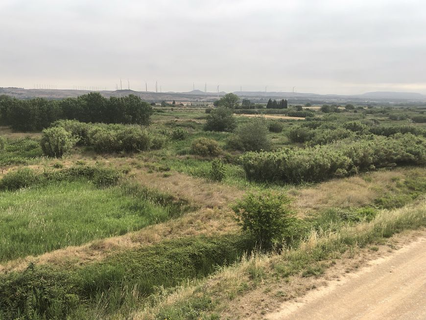 Suelo en Fontellas, Navarra