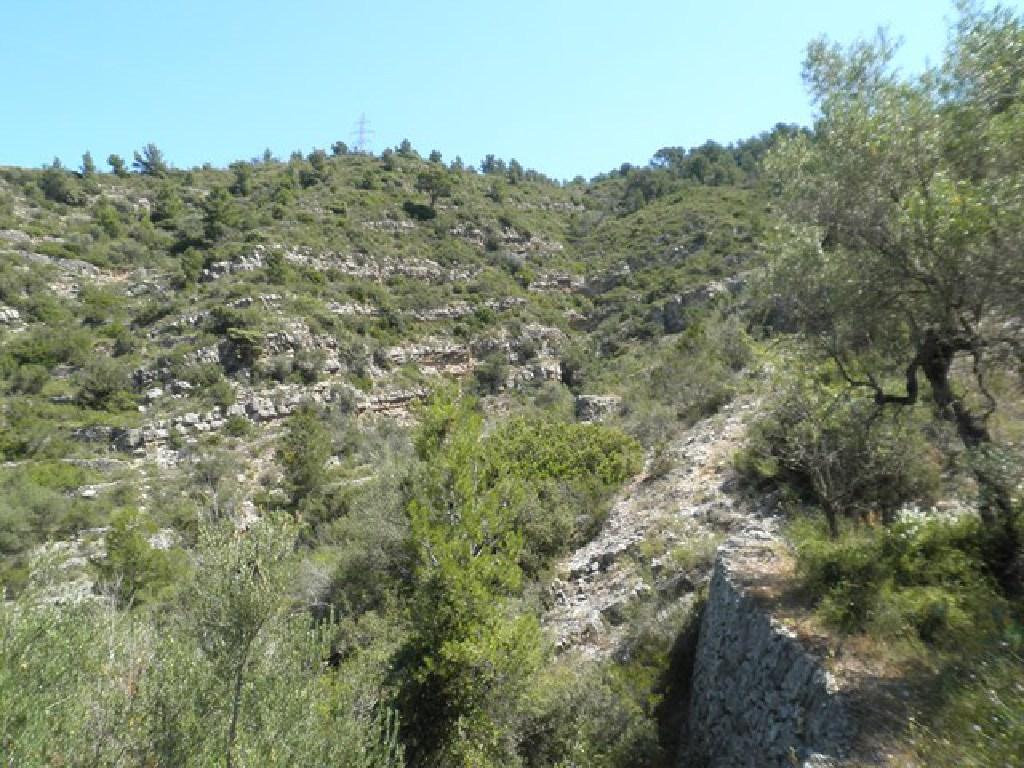 Suelo en Tortosa, Tarragona