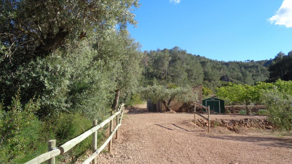 Suelo en Móra d'Ebre, Tarragona