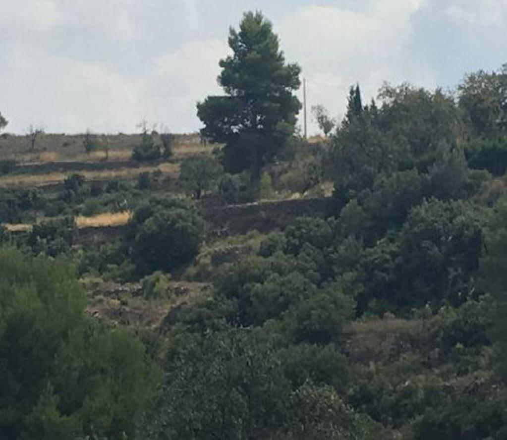 Suelo en Villar del Arzobispo, Valencia