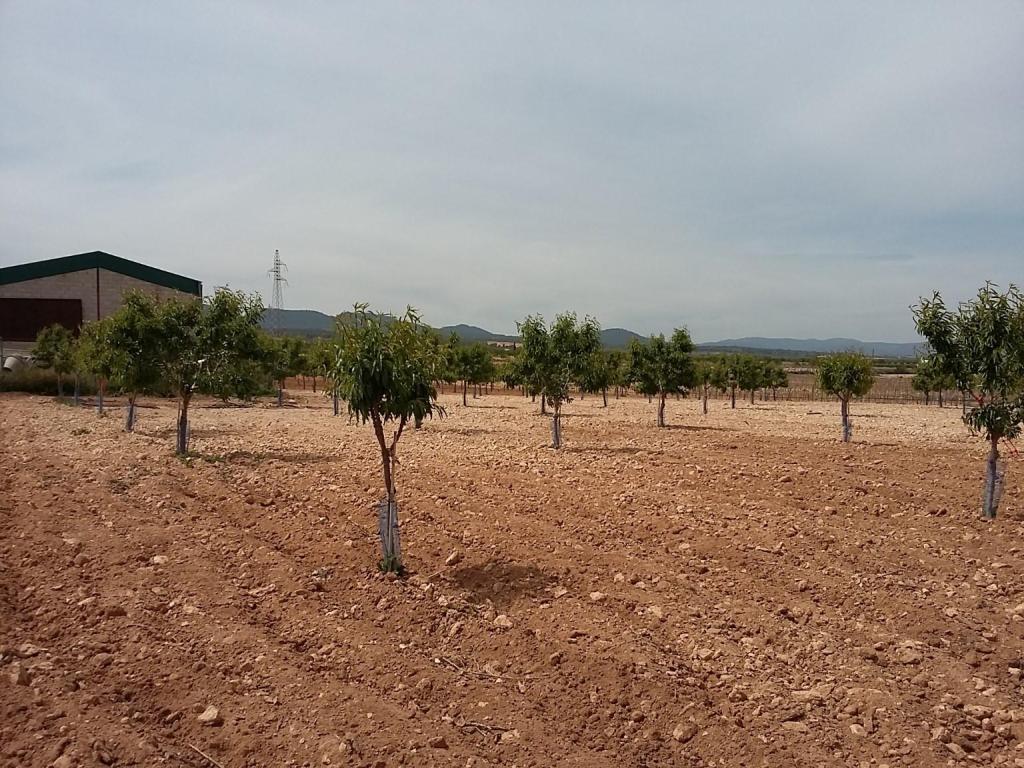 Suelo en Caudete de las Fuentes, Valencia